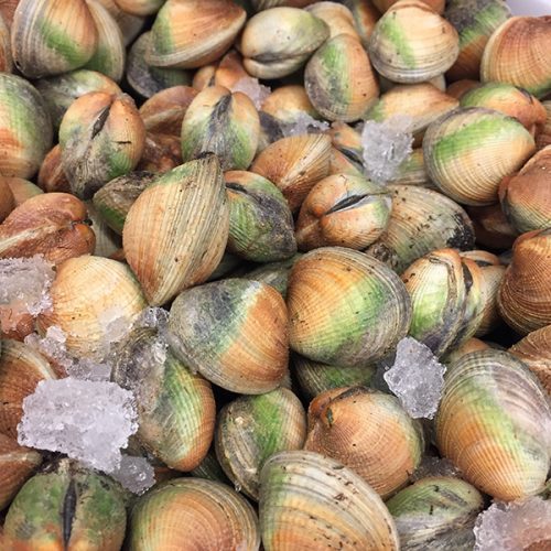 Seafood Facts Jess's Market