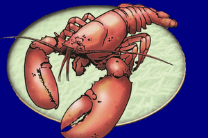 Jess's Market Gift Card